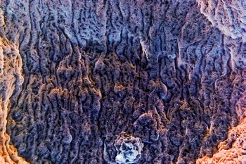 A 39A